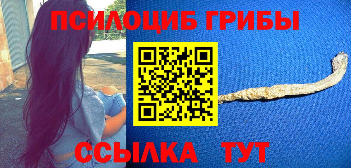 Псилоцибиновые грибы Psilocybe Чебоксары
